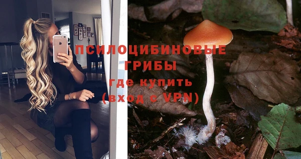 экстази Алексеевка
