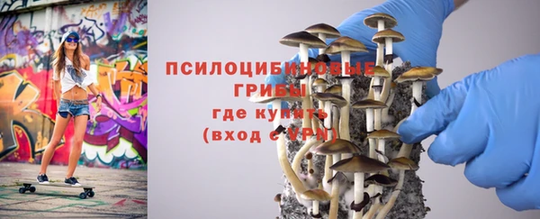 ECSTASY Алексин